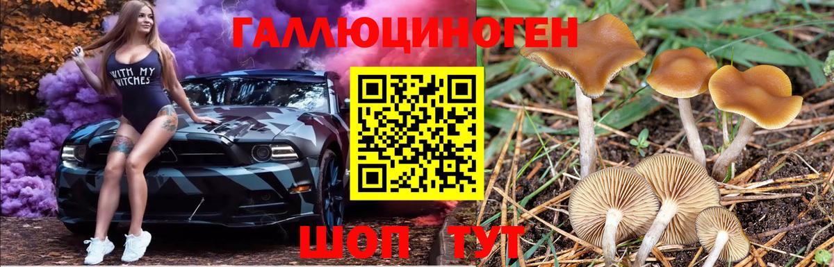 Галлюциногенные грибы мухоморы  Вход с VPN  Вичуга  Псилоцибиновые грибы MAGIC MUSHROOMS 